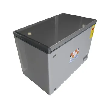 Nasco Freezer 400 Ltr Net Black Lock & Key