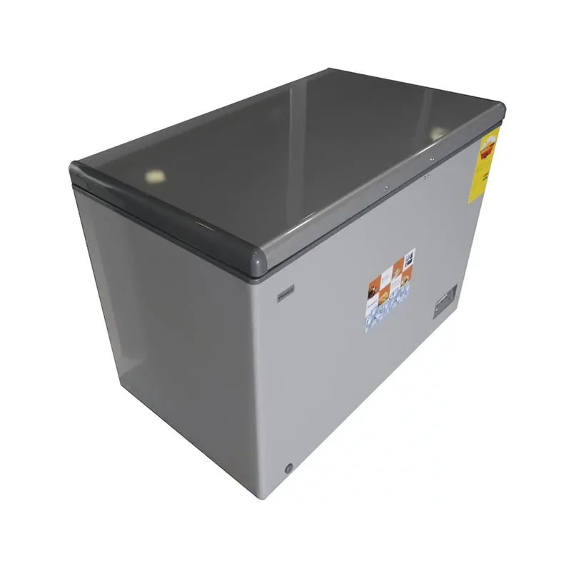 Nasco Freezer 400 Ltr Net Black Lock & Key
