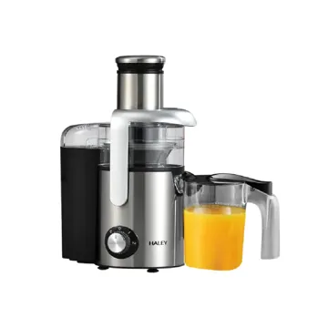Haley Juicer 5 in 1 800Watt