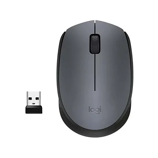 Logitech Wireless Mouse M170