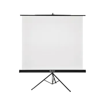 Tripod screen 200*200 with 0.38 matte white and B2-60 housing