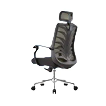 Eldo Mesh Office Chair
