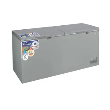 Nasco Freezer 600 Ltr Net Silver Lock and Key