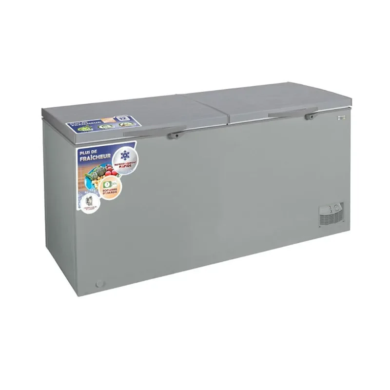 Nasco Freezer 600 Ltr Net Silver Lock and Key
