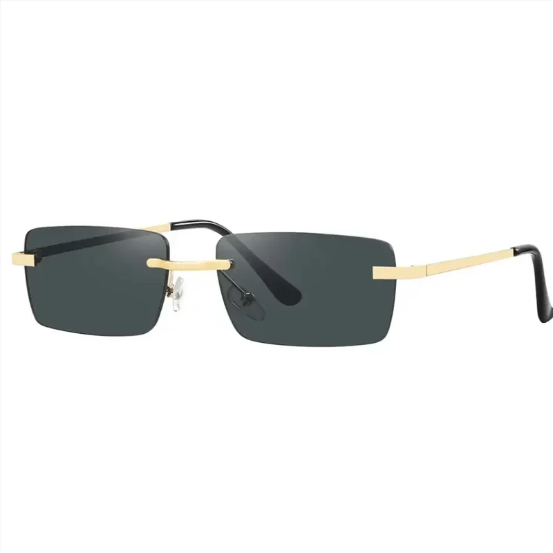 Green Lion Vallegio Sunglasses – Black