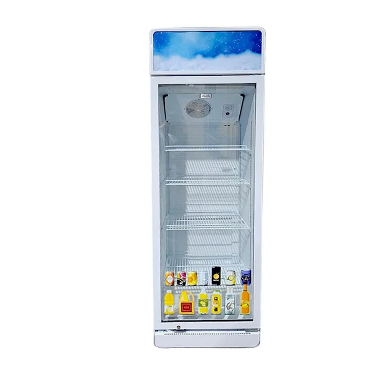 Zara Display Fridge 300 Ltr Single Door
