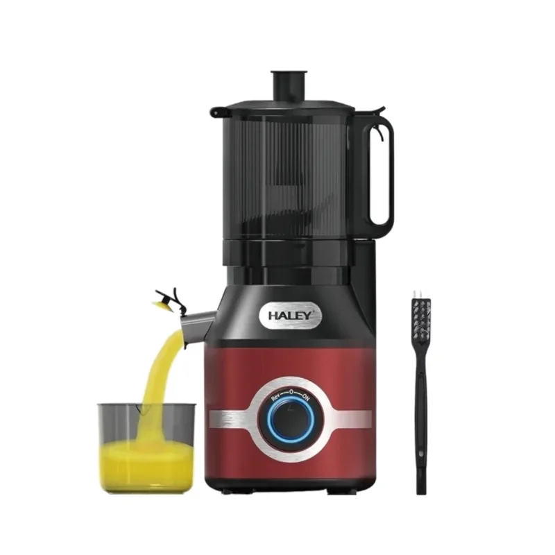 Haley Slow Juicer
